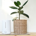 Air Purifiers vs Ionizers: Which is Better?