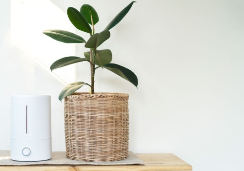 Air Purifiers vs Ionizers: Which is Better?